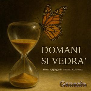 DOMANI SI VEDRA'