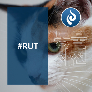 The Expiration Date of My Love Is My Death