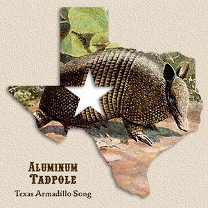 Texas Armadillo Song