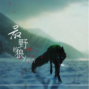 最野的狼 (DJ版)