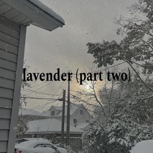 Lavender II