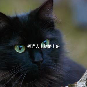 Wicked Sleeping Cat Zone