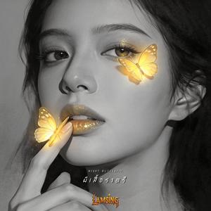 ผีเสื้อราตรี