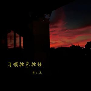 习惯独来独往 (DJHonda仔版)