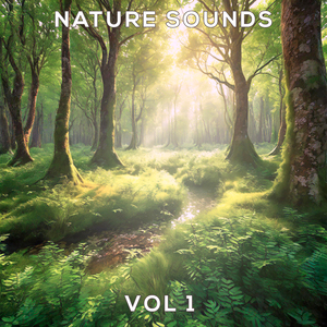 04 Nature Sounds, Vol.1
