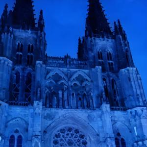 exot!c (feat. Tuk/nvrmindd)