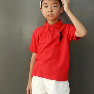 候鸟（翻自 邱诗涵）