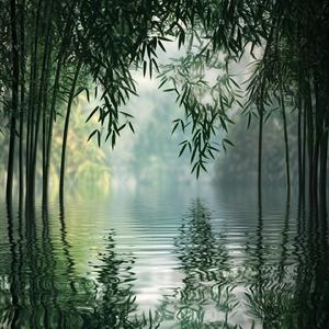 黄帝内经·土音（养脾和胃 促进消化）