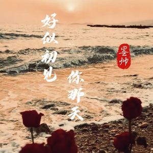 好似初见你那天