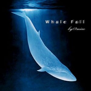 Whale Fall