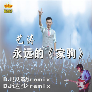 家驹 (DJ达少版)