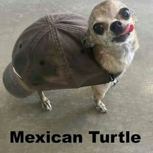 We Don't Sleep At Night (sped up)