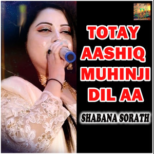 Totay Aashiq Muhinji Dil Aa