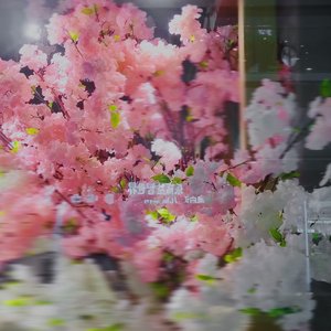 马儿在草原上奔跑