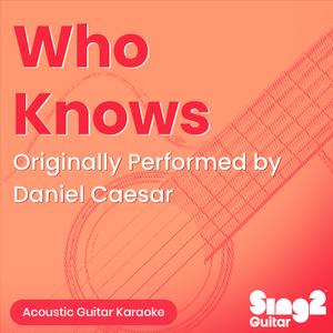 Who Knows (Originally Performed by Daniel Caesar) (Acoustic Guitar Karaoke)