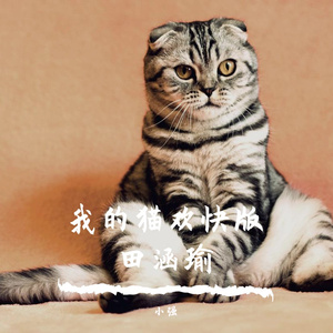 我的猫欢快版 伴奏