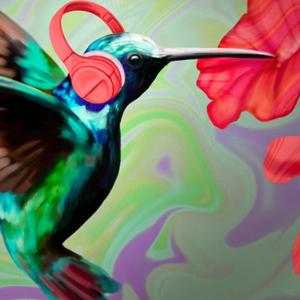 Hummingbird (z00n Remix)