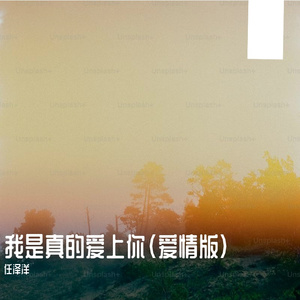 我是真的爱上你