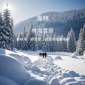 海林·穿林海跨雪原