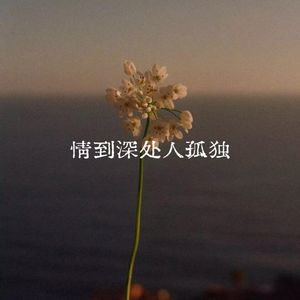 情到深处人孤独