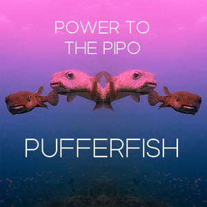 Pufferfish