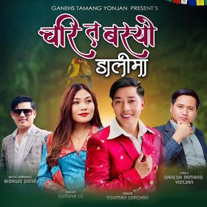 Chari Ta Basyo Dalima