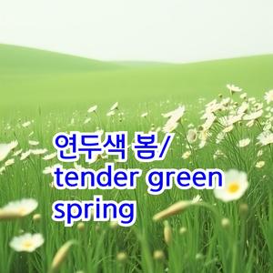 연두색 봄/tender green spring