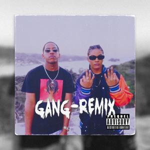 GANG (feat. Metanol07)