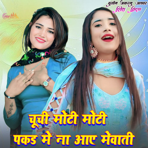 चूची मोटी मोटी पकड मे ना आए मेवाती
