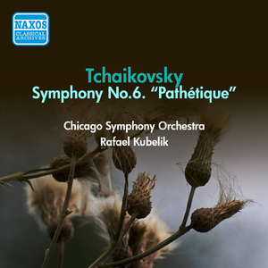 Symphony No. 6 in B Minor, Op. 74, "Pathétique":III. Allegro molto vivace
