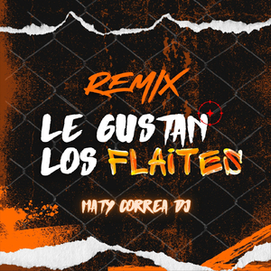 Le Gustan los Flaites (Remix)