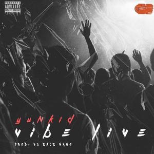 Vibe Live