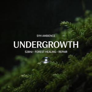 Roots of Wisdom (Deep Connection)