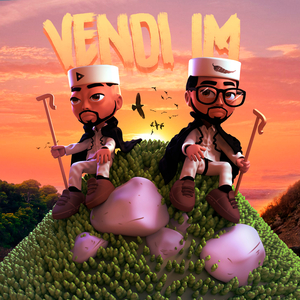 Vendi Im
