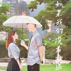 如果我们没有相遇
