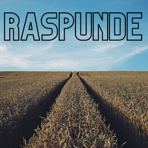 Raspunde