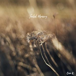 Faded Memory