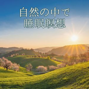 美しい朝の光景