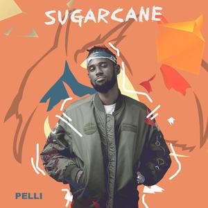 SUGARCANE