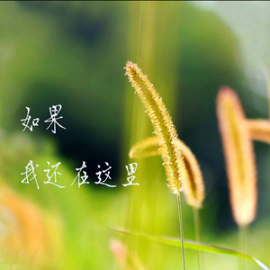 如果我还在这里