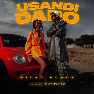 Usandidaro