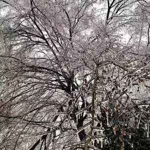 酒精freestyle ft.Jesseho