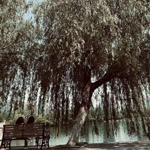 阿卡林（prod by Gr33nart Beats）