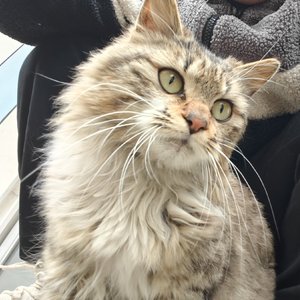 我们活在爱情的时差里