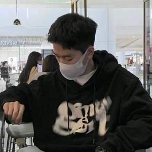 被驯服的象
