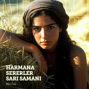 Harmana Sererler Sarı Samanı