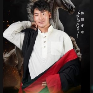 梅朗多琼《阿里瓦》