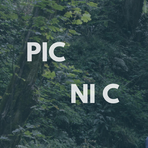 Picnic (Basement Session)