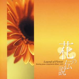 秋桜(コスモス)