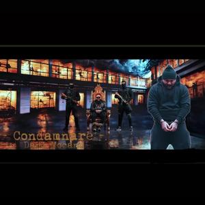Dani Mocanu (Condamnare | Official Audio)